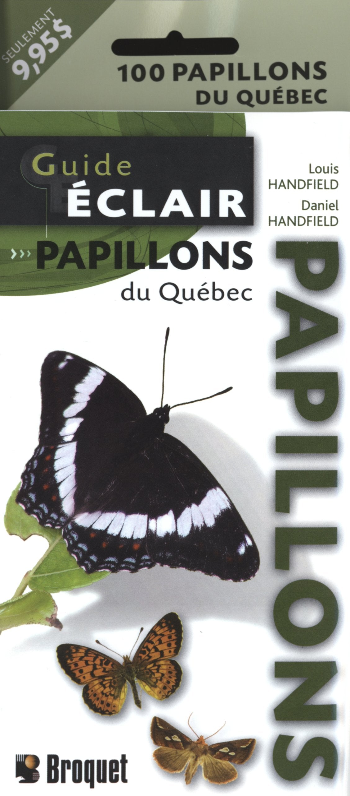 Guide eclair papillo / Reference