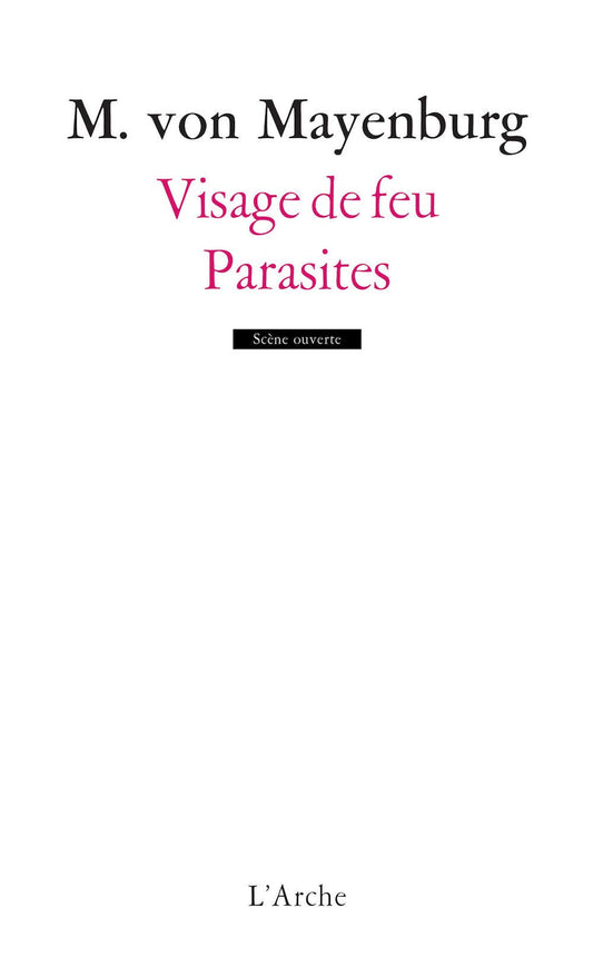 Visages de feu Paras / Romans et litterature
