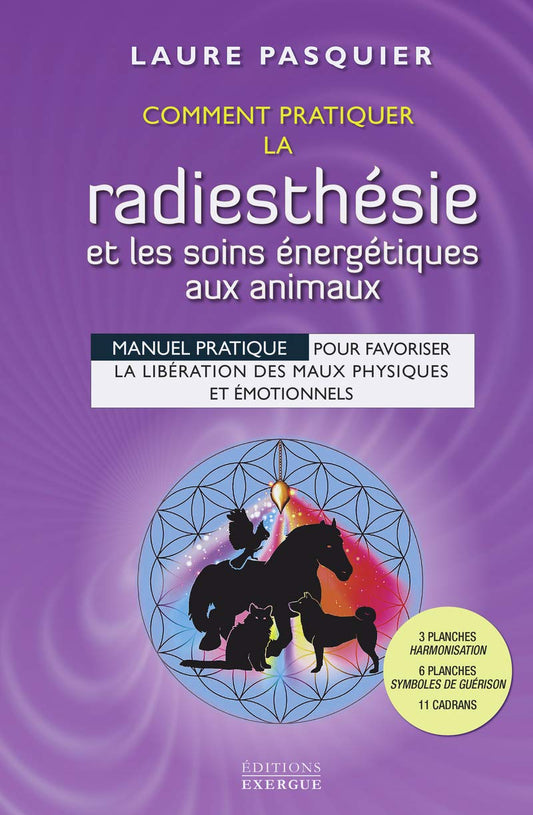 Comment pratiquer la / Romans et litterature