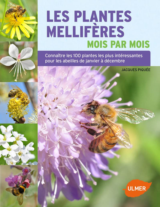 Les Plantes mellifer / Loisirs creatifs, decoration e