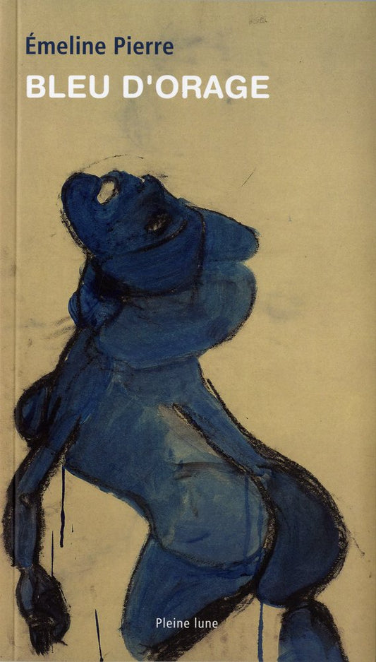 Bleu d'orage / Romans et litterature