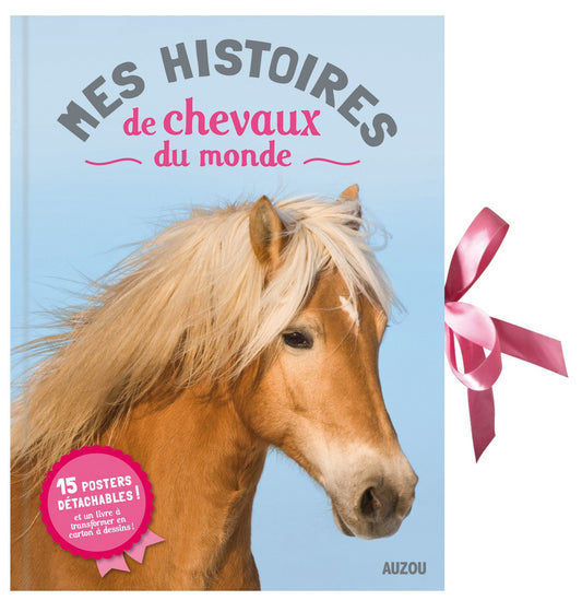 MES HISTOIRES DE CHE / Livres pour enfants