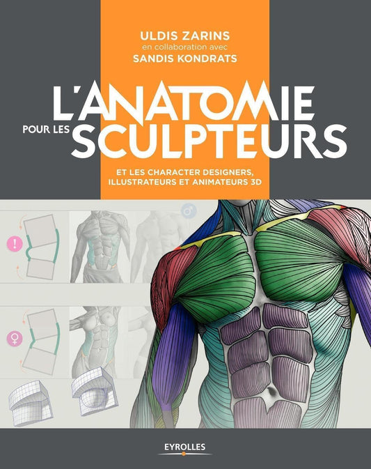 L'anatomie pour les  / Arts et photographie