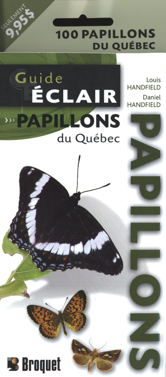 Guide eclair papillo / Reference