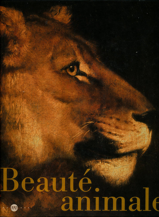 BEAUTE ANIMALE - CAT / Arts et photographie