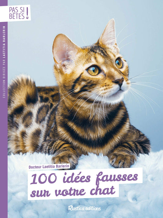 100 idees fausses su / Loisirs creatifs, decoration e